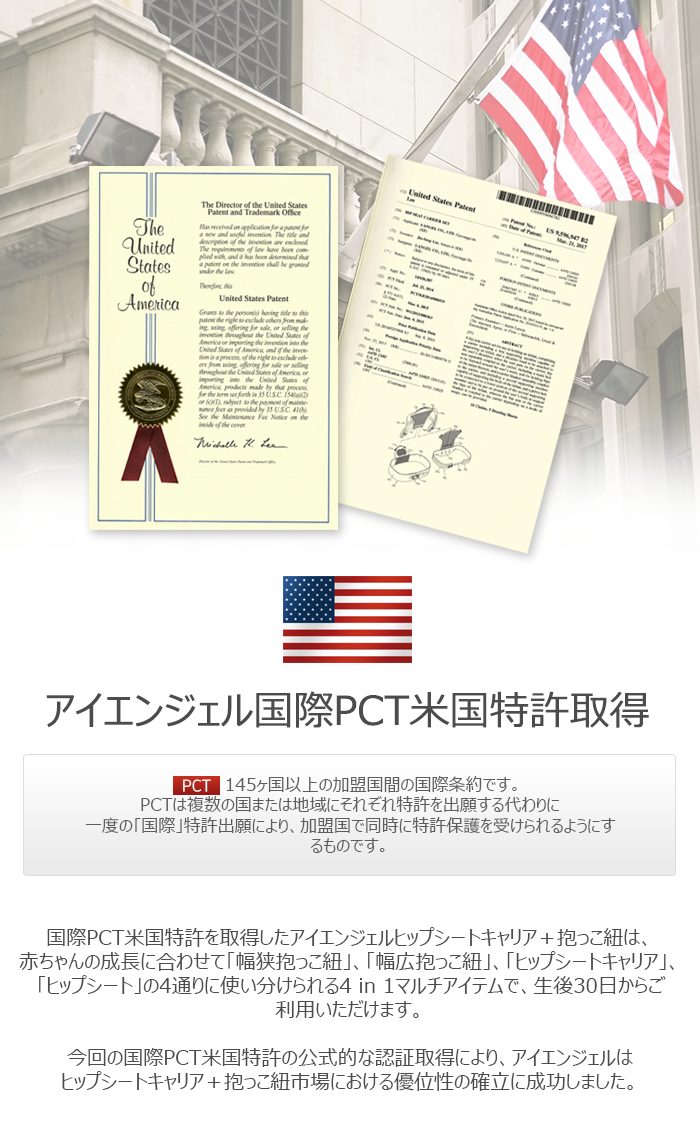 20170605_PCT_eng.png